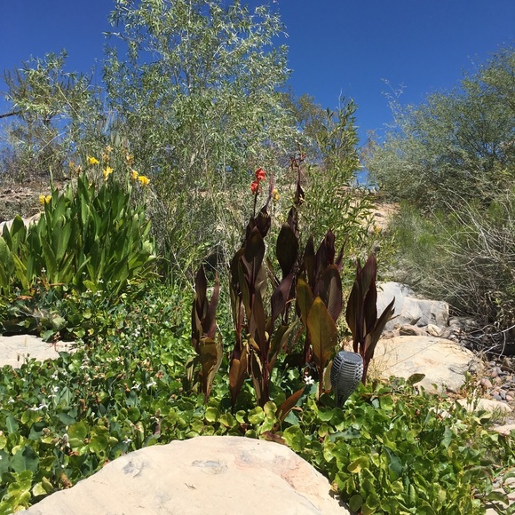 Meet your Posher, Tamera - Picture 1 of 1